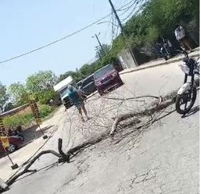 Nueva Esparta| Habitantes de Guacuco exigen agua