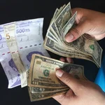 Dólar y euro BCV para este 17 de septiembre: así amanecen las divisas oficiales