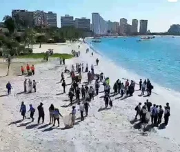 Margarita se unió en tres frentes para limpiar y proteger sus costas