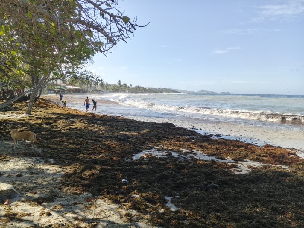 Alarma en Playa Parguito por fuerte oleaje +VIDEOS
