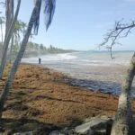 Alarma en Playa Parguito por fuerte oleaje +VIDEOS