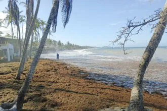 Alarma en Playa Parguito por fuerte oleaje +VIDEOS