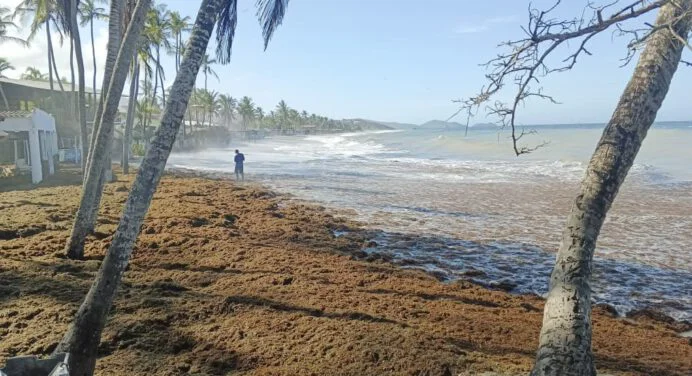 Alarma en Playa Parguito por fuerte oleaje (Fotos +VIDEOS)
