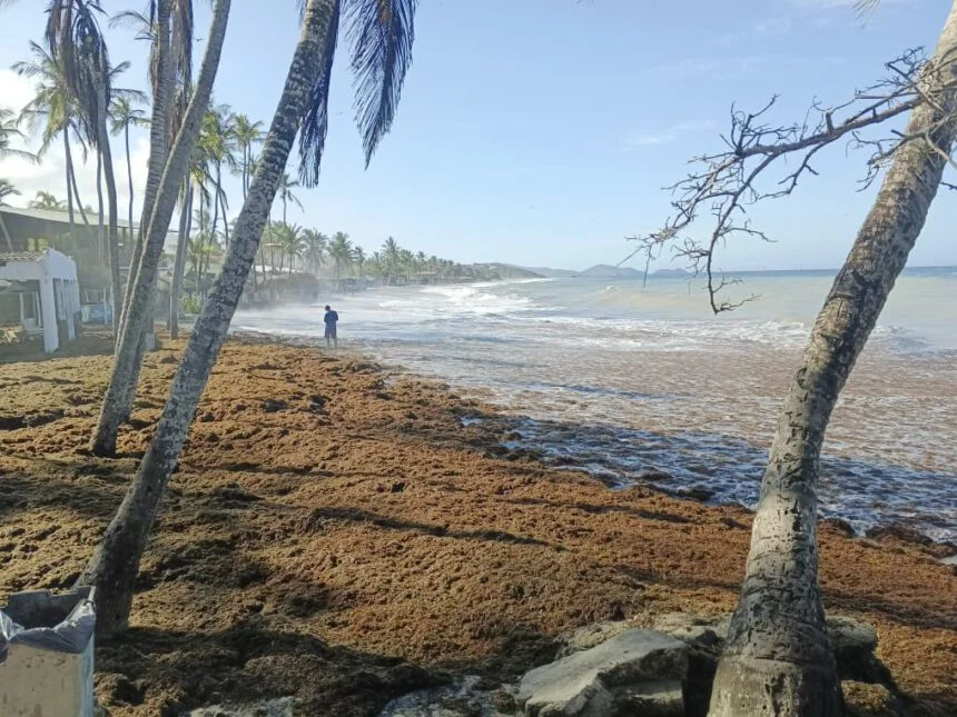 Alarma en Playa Parguito por fuerte oleaje +VIDEOS