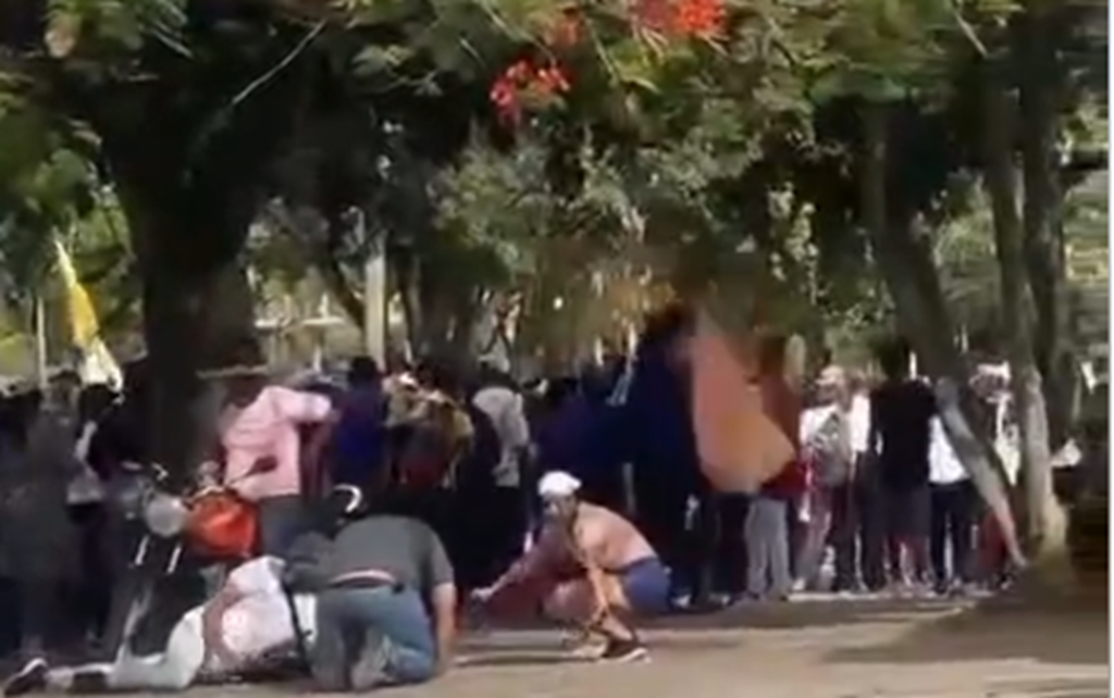 Juangriego: Alarma por ataque de abejas y presunto robo de moto +VIDEOS