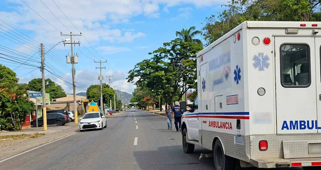 Juangriego: Alarma por ataque de abejas y presunto robo de moto +VIDEOS
