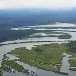 Embajada británica en Caracas financiará investigaciones para proteger biodiversidad