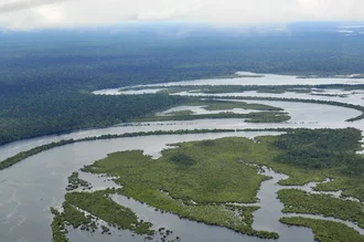 Embajada británica en Caracas financiará investigaciones para proteger biodiversidad