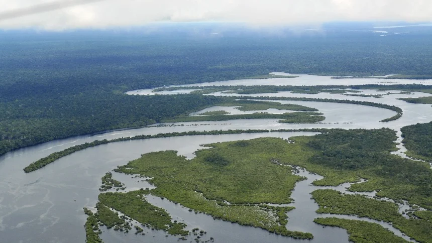 Embajada británica en Caracas financiará investigaciones para proteger biodiversidad