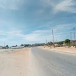 Denuncian contaminación por procesadoras de pescado en Tubores