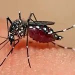 Venezuela en alerta epidemiológica: El Niño dispara dengue, malaria y enfermedades diarreicas en todo el país