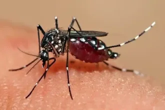 Venezuela en alerta epidemiológica: El Niño dispara dengue, malaria y enfermedades diarreicas en todo el país